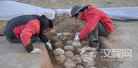 仔细清理头骨 仔细清理头骨