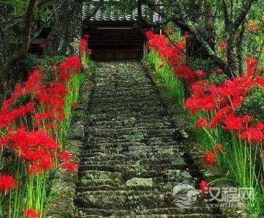 1538207945331142.png image.png