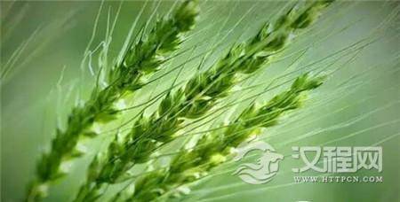 1485164134863978.jpg 3_副本1.jpg