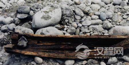 1486537383696750.jpg 6e2db1452e2d9207cefca3eb.jpg