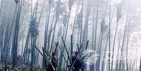 1504334972372455.jpg 31ea00018695da6bd33b.jpg