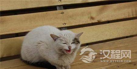 1494294741546646.jpg 1_副本1.jpg