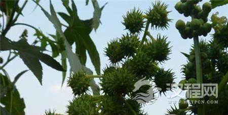 1485162835988234.jpg 3_副本.jpg