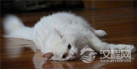 1494294749327366.jpg 3_副本1.jpg