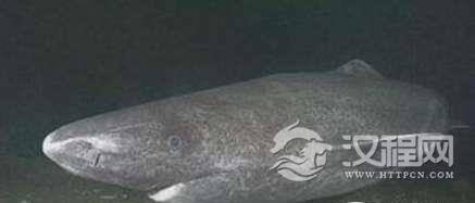 1522743968236215.png blob.png