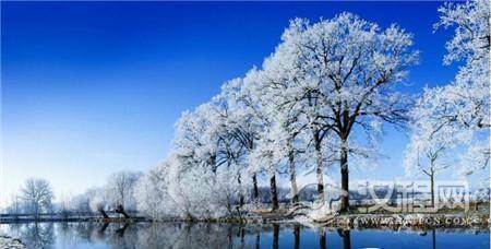 1485166824759743.jpg 3_副本.jpg