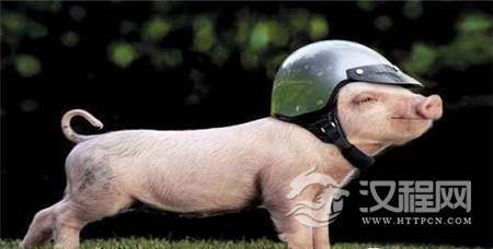 1493426040688422.jpg 2_副本1.jpg