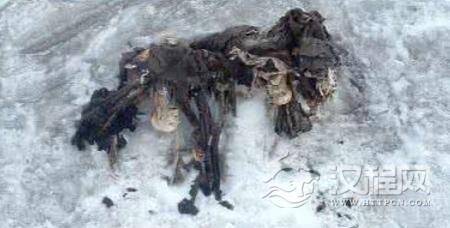 1502677899439313.jpg 2.jpg