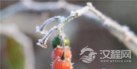 1484989392539180.jpg 3_副本.jpg