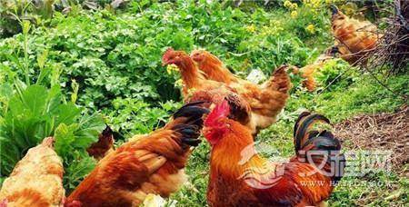 1485317153586087.jpg 3_副本.jpg