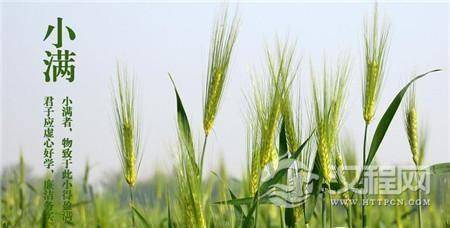 1485164130687549.jpg 2_副本1.jpg