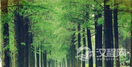 1485151247184593.jpg 3_副本1.jpg