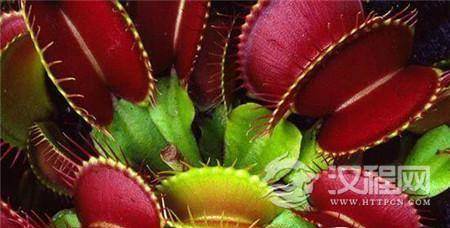 1485162830730395.jpg 2_副本.jpg