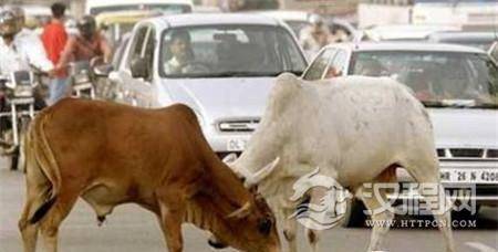 1485933455544936.jpg 1_副本.jpg