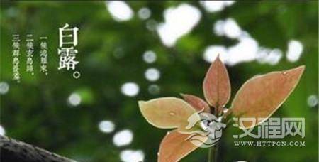 1484990791727352.jpg 1_副本.jpg