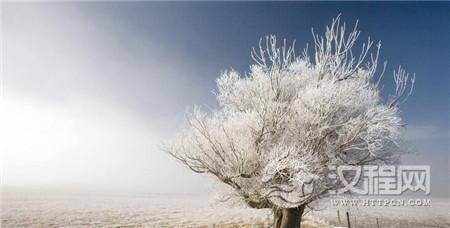 1484989786733325.jpg 3_副本.jpg