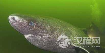 1522743951437199.png blob.png