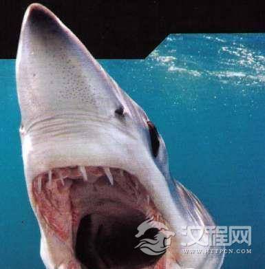 1522228103127547.png blob.png