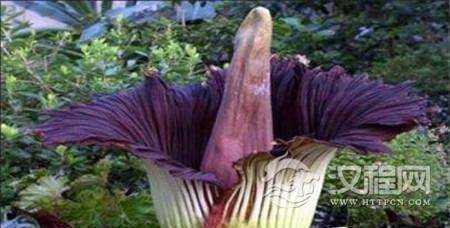 1500604338728749.jpg 5-1F20912050X94.jpg