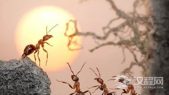 1482398182123370.jpg 1.jpg