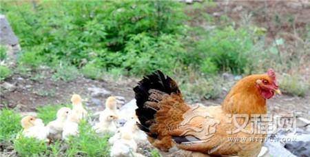 1485317147969897.jpg 2_副本.jpg