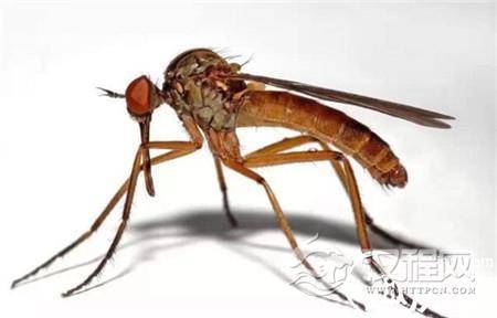 1486110081715607.jpg 15a00002612af094ebaa.jpg