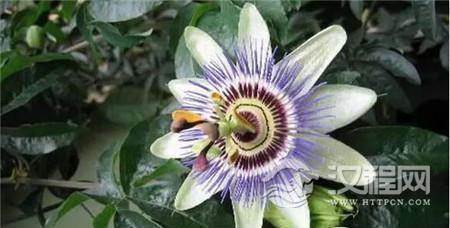 1486953857228418.jpg 3_副本.jpg