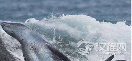 1522744304809090.png blob.png