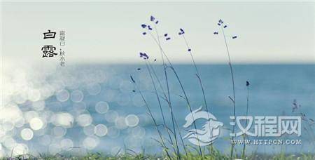 1484990795382946.jpg 2_副本.jpg