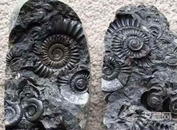 1520586384590440.png blob.png