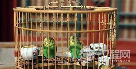 1508487540335586.jpg 3e5d0001df053abe0a43.jpg