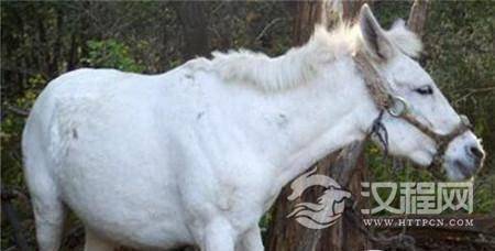 1482895640791848.jpg 2.jpg