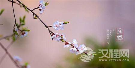 1485161344719355.jpg 2_副本.jpg