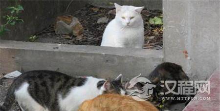 1494294745824310.jpg 2_副本1.jpg