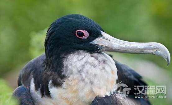 1523081623872081.png blob.png