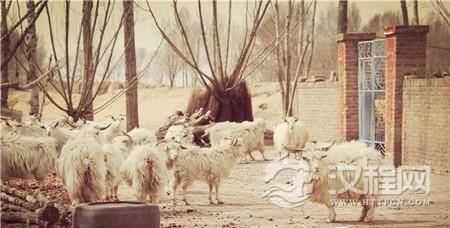 1493015108630396.jpg mp1627297_1423881787183_4.jpg