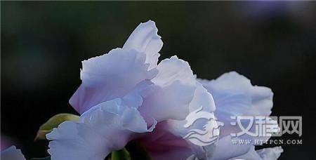 1489718498552843.jpg 3_副本5.jpg