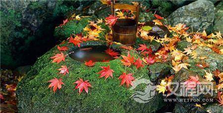 1484990302598403.jpg 3_副本1.jpg