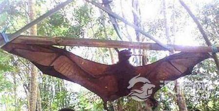 1493698080940427.jpg 1_副本.jpg