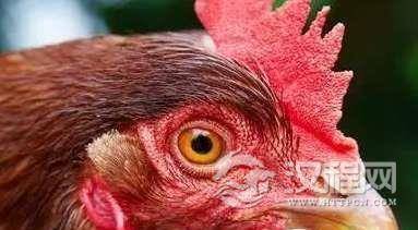 1516593217677033.png blob.png