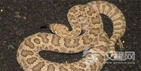 1494291663761602.jpg 1_副本2.jpg