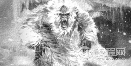 1499412985610384.jpg 4.jpg