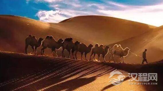 1497086205803033.jpg 2.jpg