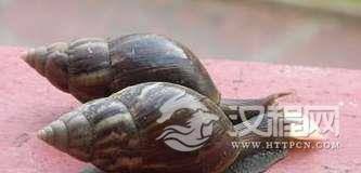 1522401983845846.png blob.png