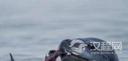 1522744327967810.png blob.png