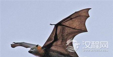 1493698084234113.jpg 2_副本.jpg