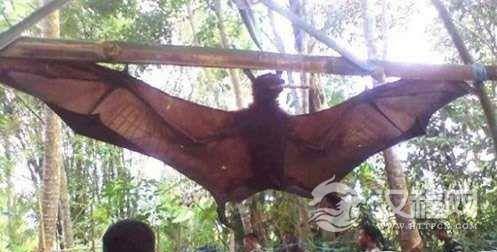 1522832196526305.png blob.png