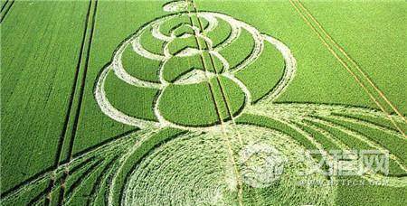 1486432907842086.jpg 81548652_22.jpg