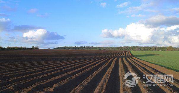 耕地“一亩三分地”