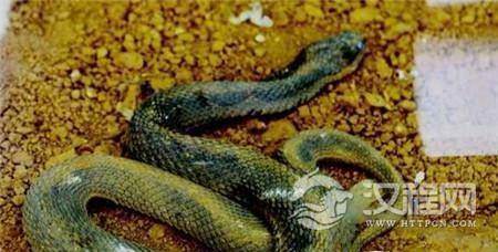 1507102666771085.jpg 3c7200022fa31d728840.jpg